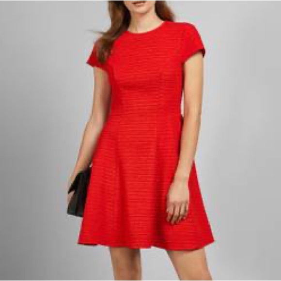 ✨TED BAKER✨ Seam Detail Texture Jersey Dress - NWT - Brand New - Picture 1 of 6